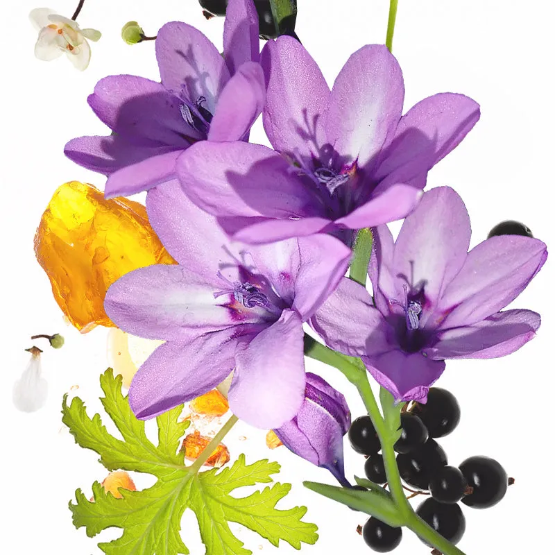 KOEC Moon Violet bodymist til hår og krop 100 ml