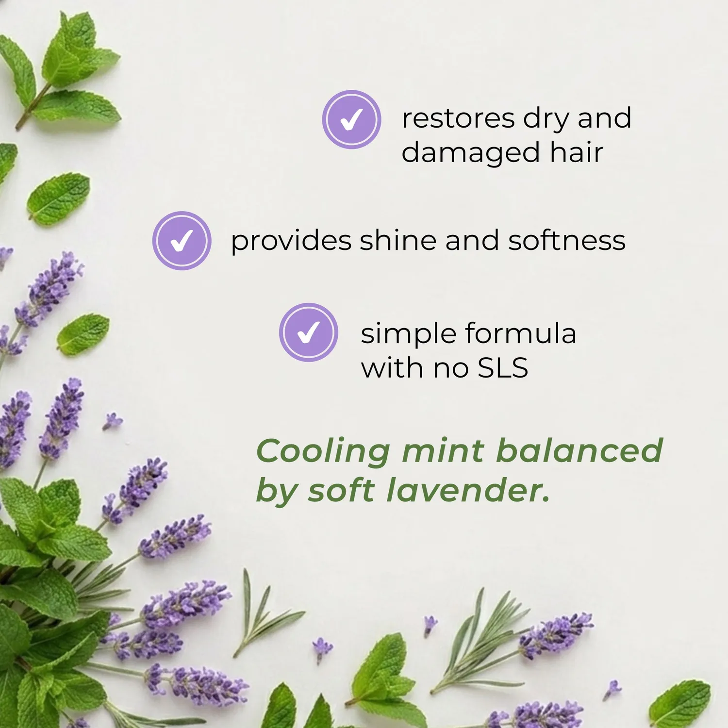 Olival Professional Micellar Shampoo Mint and Lavender shampoo mynte