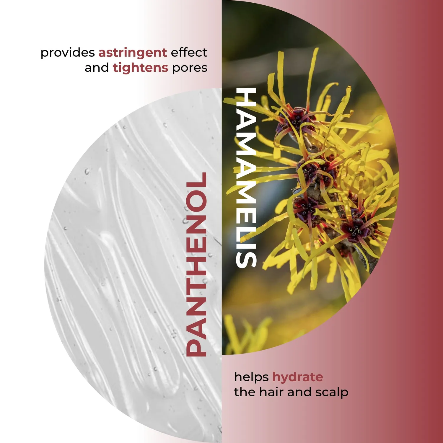 Olival Professional Hamamelis shampoo fedtet hår